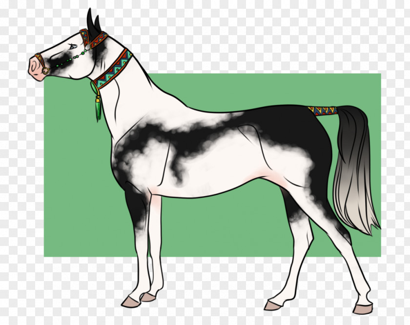 Saxophone Animal Stallion Foal Mustang Mare Colt PNG