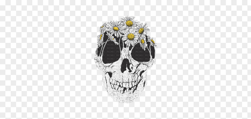 Skull Human Symbolism Calavera Skeleton PNG
