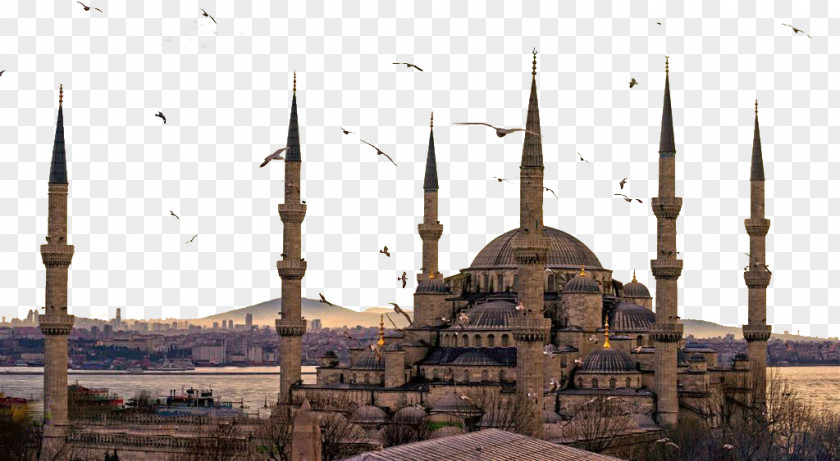 Sultan Ahmed Mosque Photos Hagia Sophia Topkapı Palace Süleymaniye İznik PNG