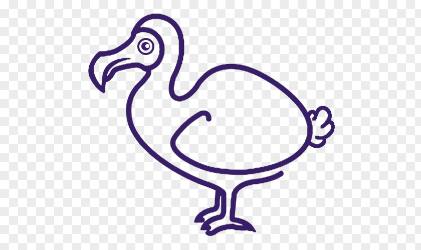 Bird Drawing Dodo Duck Beak PNG