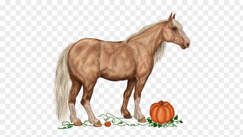 Cartoon Horse Modeling Pumpkin Decorating American Paint Mustang French Trotter Howrse Akhal-Teke PNG