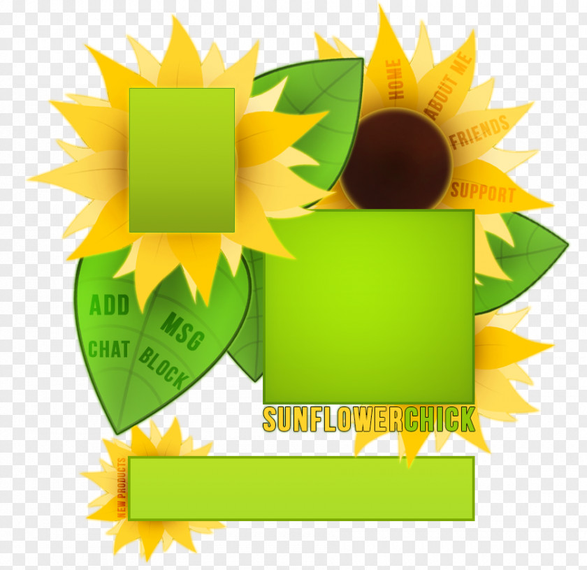 Computer Common Sunflower Seed Desktop Wallpaper PNG