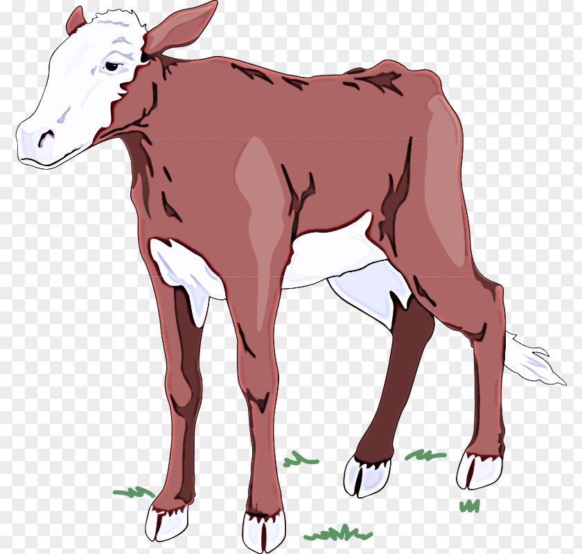 Horse Goat Ox Dairy Cattle Calf PNG