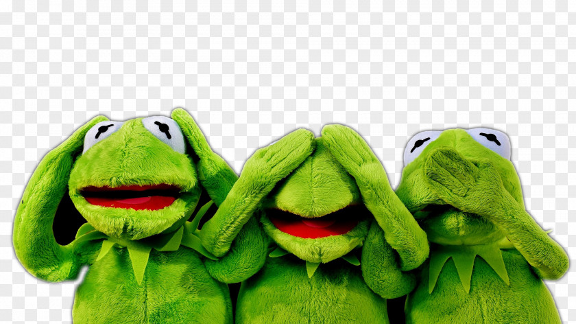 16:9 Kermit The Frog Desktop Wallpaper Royalty-free Sales PNG