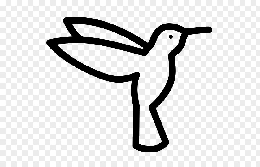 Bird Hummingbird Pelican Clip Art PNG