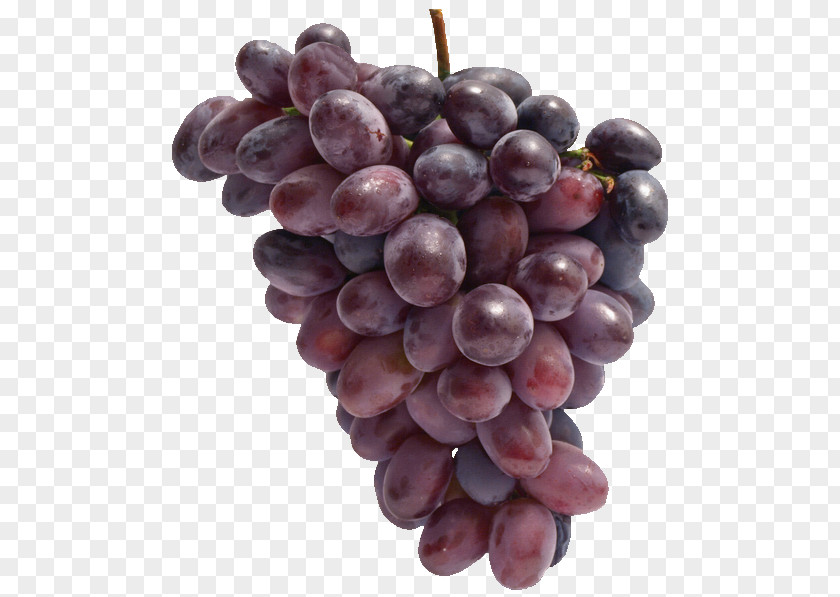 Grape Sultana Common Vine Wine PNG