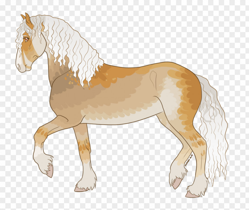 Mustang Mane Foal Stallion Colt PNG