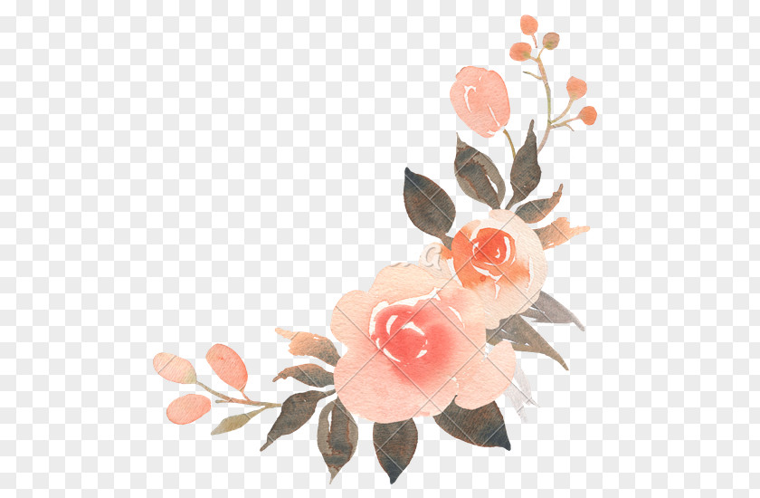 Peach Blossom Flower Bouquet Garden Roses Floral Design PNG