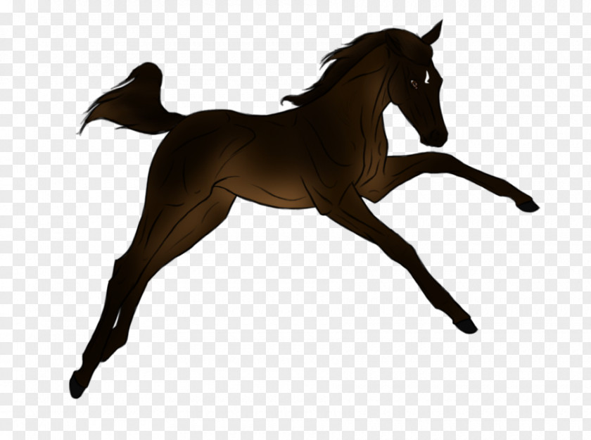 Reining Horse Silhouette Foal Stallion Pony Mane PNG