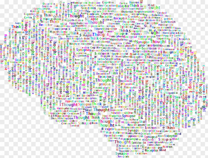 Brain Tag Cloud Word Clip Art PNG