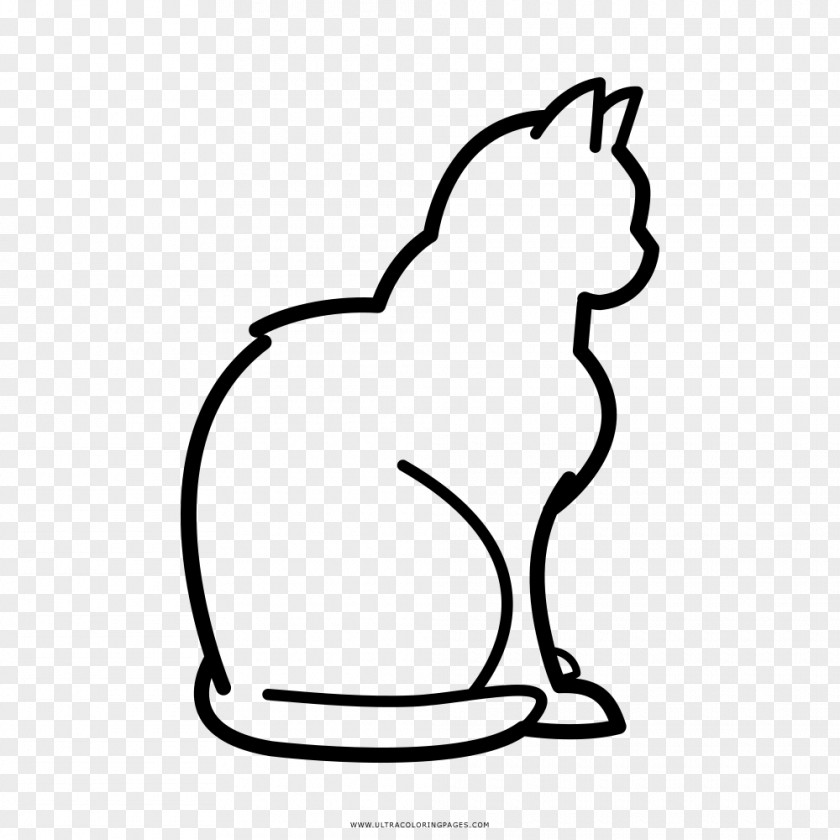 Cat Puss In Boots Drawing Coloring Book Kitten PNG