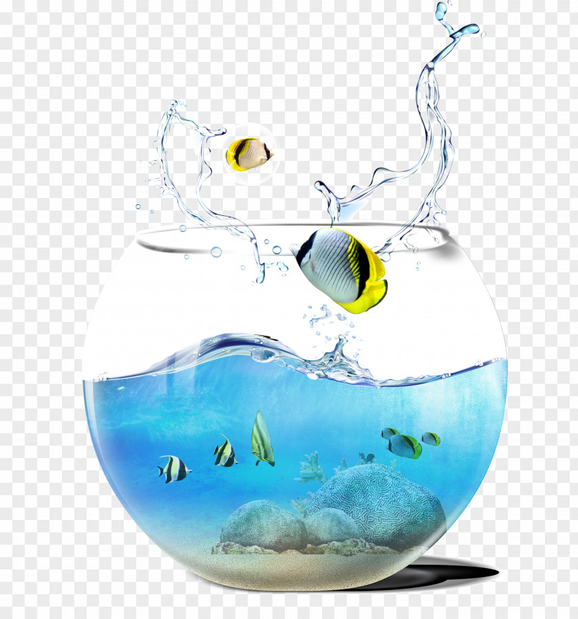 Cutlass Fish Tank Aquarium PNG