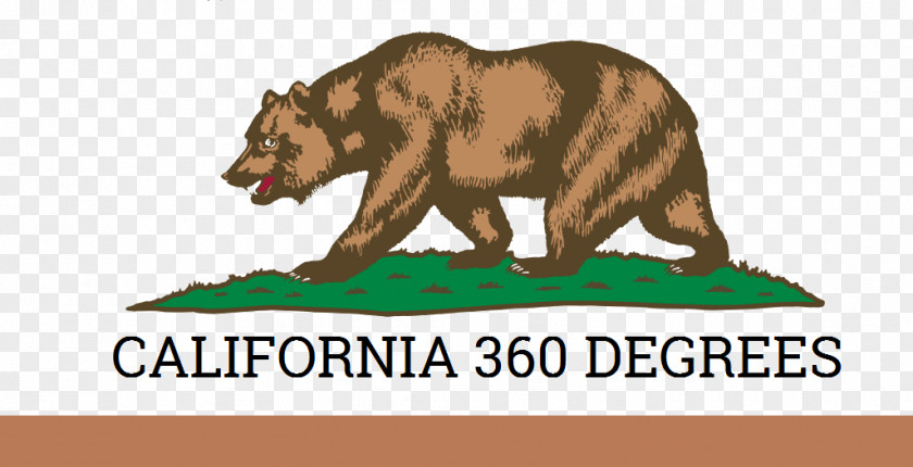 Flag California Republic Of Yes PNG