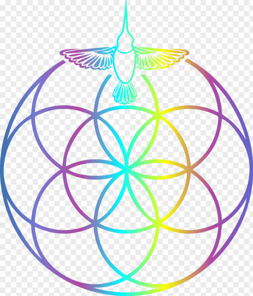 Flower Circle Sacred Geometry Symbol PNG