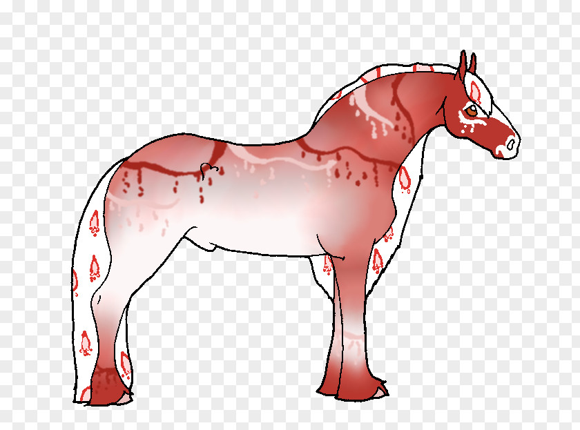 Mustang Mule Foal Stallion Pony Mare PNG