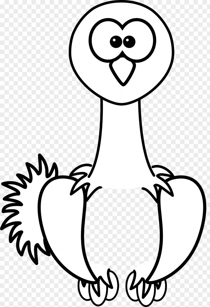 Ostrich Cliparts Common Cartoon Clip Art PNG