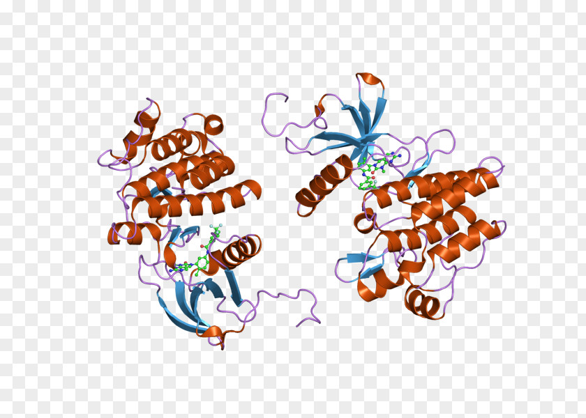 ABL Oncogene Protein Arsenic PNG
