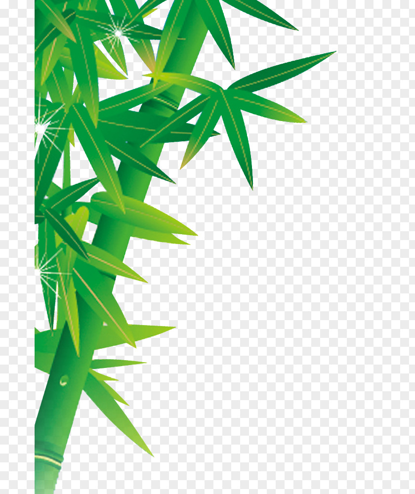 Bamboo Yunnan Hulusi Poster PNG