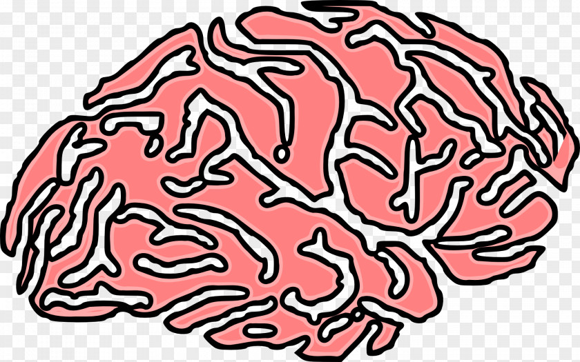 Brain Nervous System Neuron Neurological Disorder PNG