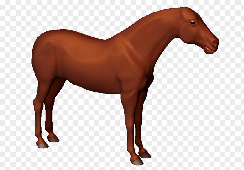 Horse Physics Newton's Laws Of Motion Reaction PNG