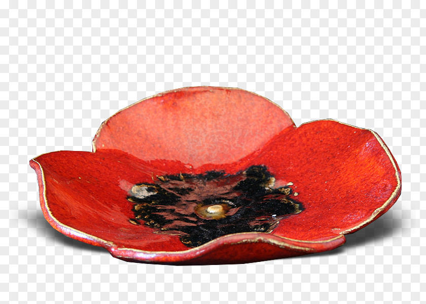 Kwiat Petal PNG