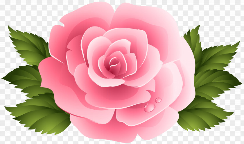 Pink Rose ClipArt Image Garden Roses Centifolia Clip Art PNG