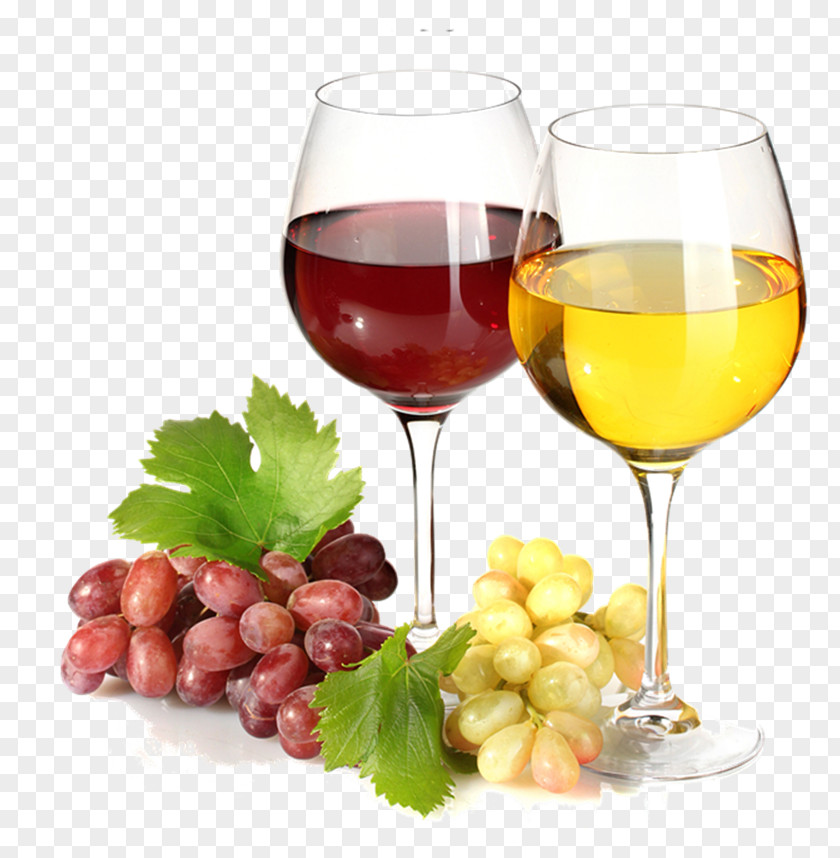 Vector Wine Red Beer Common Grape Vine PNG