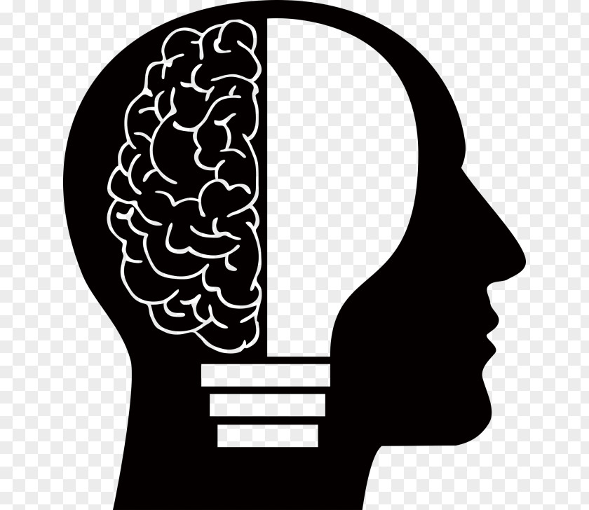 Brain Human Your Creative Clip Art PNG