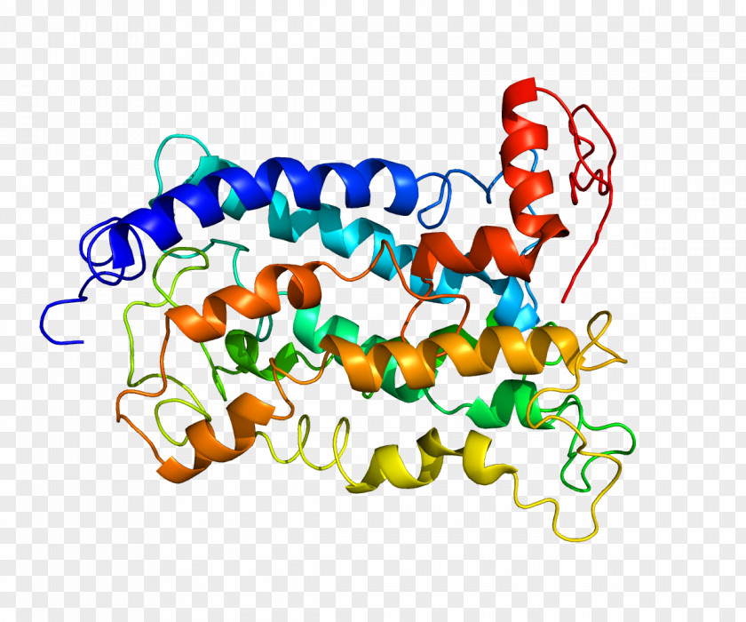 CCR2 Chemokine Receptor P2Y12 PNG