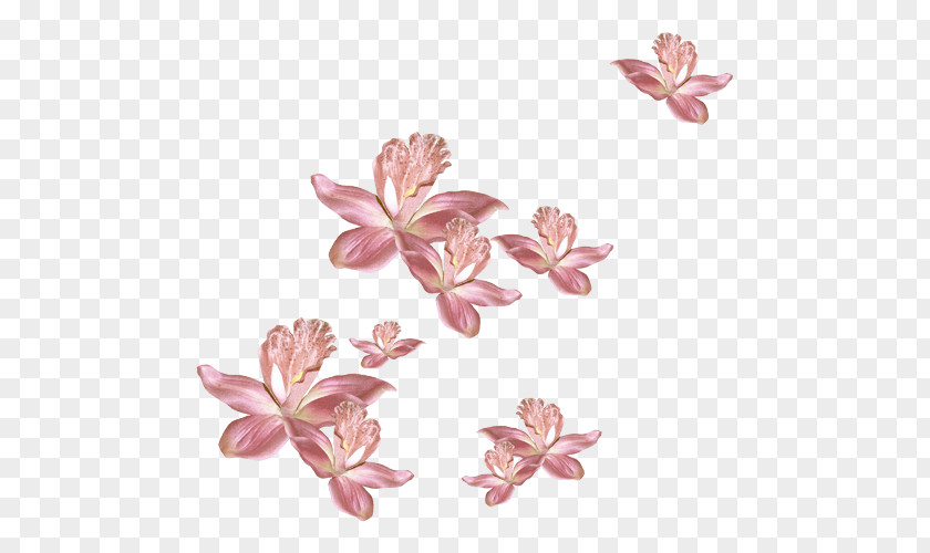 Flower Pink Petal Garden Roses Animation PNG