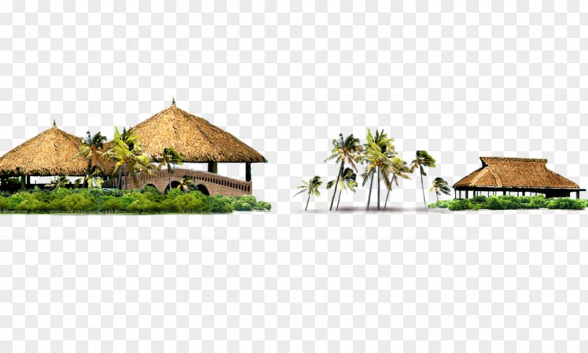 Island Building House PNG