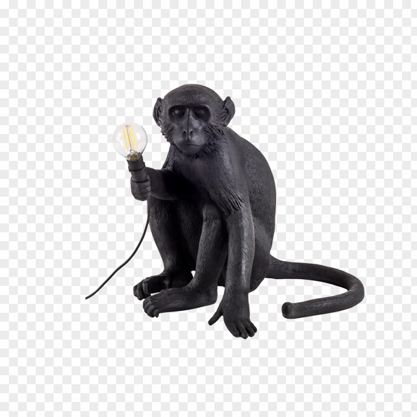 Monkey Lamp Lighting Incandescent Light Bulb Electric PNG