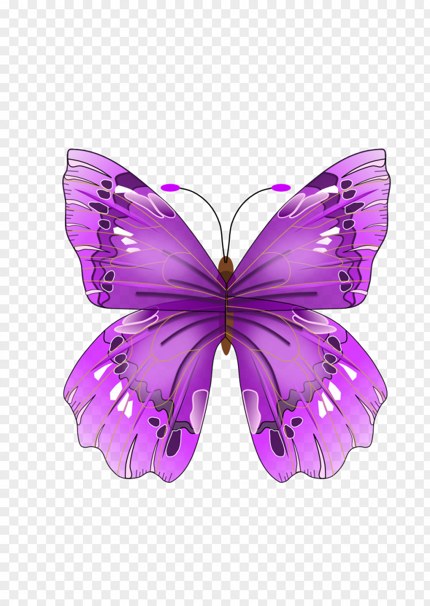 Purple Background Papilionoidea Insect Craft Magnets Clip Art PNG