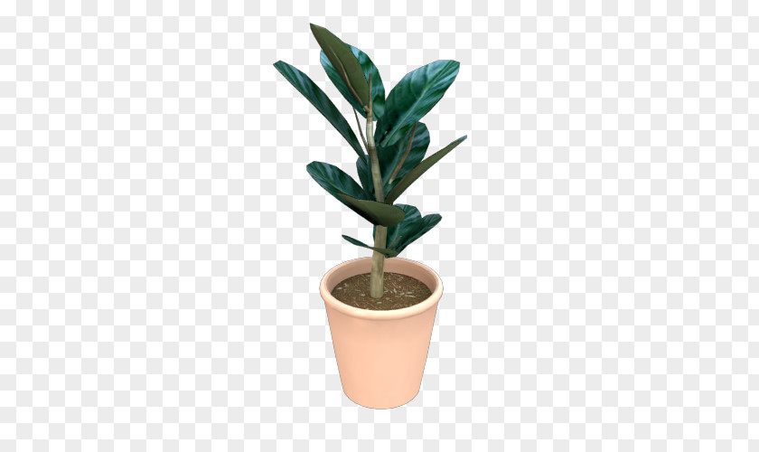 Shading Plant Houseplant Flowerpot PNG