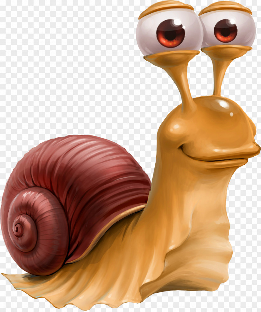 Snails Escargot Snail Caracol PNG