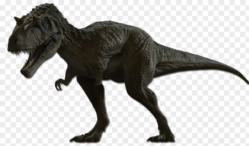 Tyrannosaurus Dinosaur King Albertosaurus Late Cretaceous Allosaurus PNG