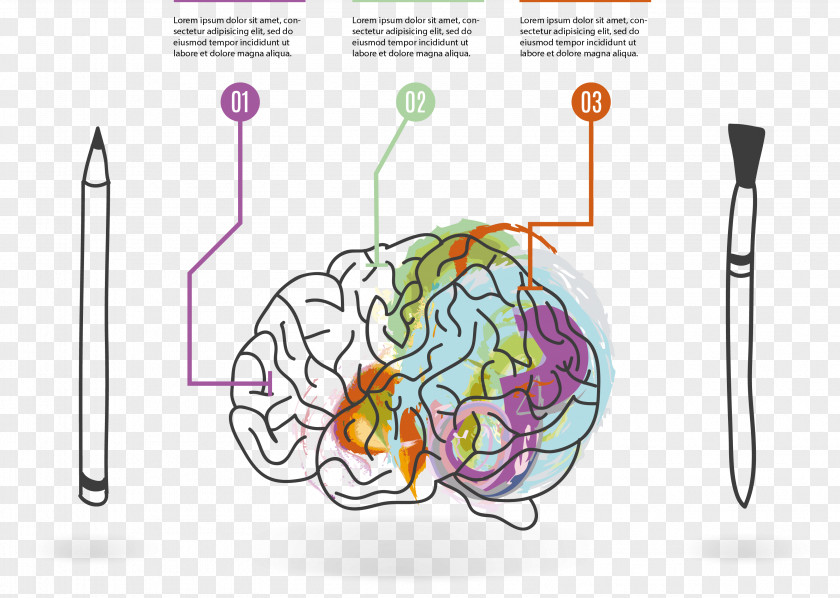 Vector Hand-drawn Brain Mind Map Drawing PNG