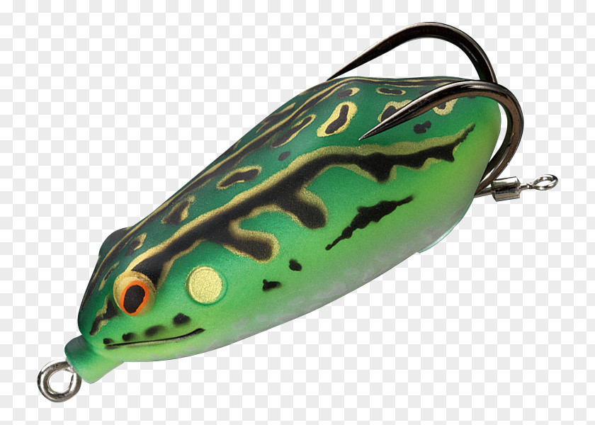 Amphibian Japanese Tree Frog Spoon Lure トノサマカルビ 高田馬場店 PNG