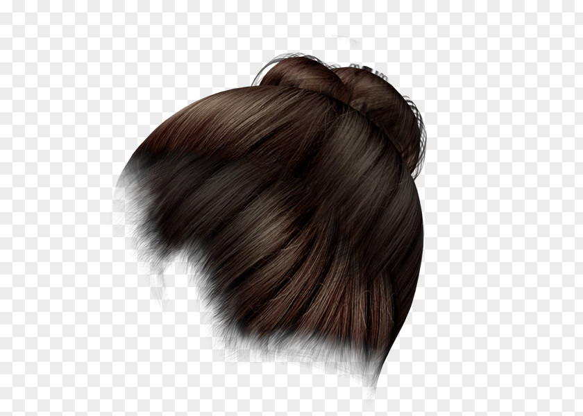 Bigote Long Hair Coloring Brown PNG