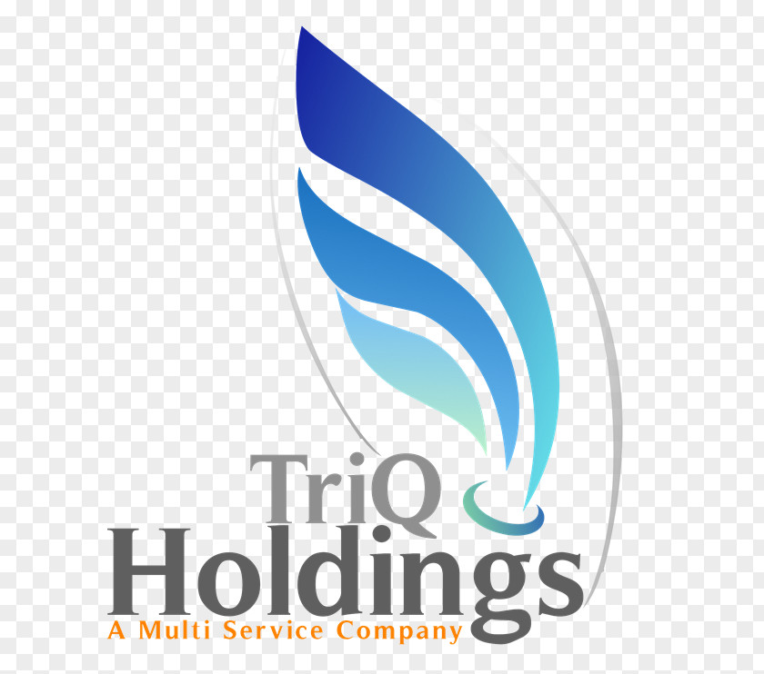 Brasshards Holdings Pty Ltd Organization Limited Company Service Strategy Business Case PNG