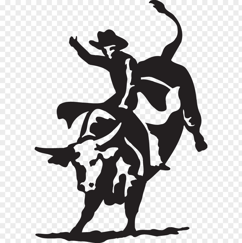 Bull Clip Art Riding Rodeo Openclipart Drawing PNG