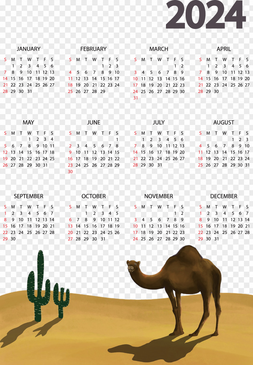 Calendar Font PNG