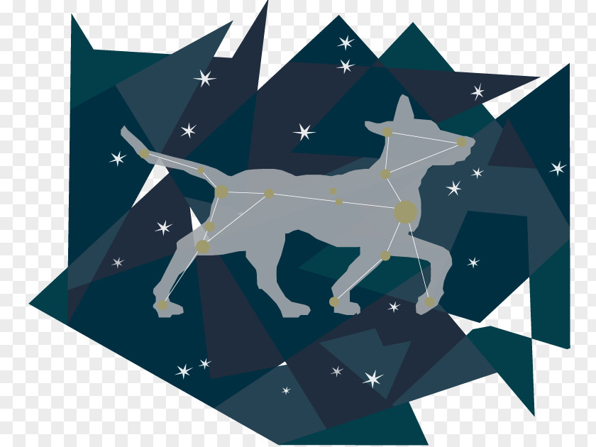 Dog Screenplay Text Constellation PNG