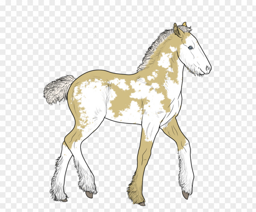 Mustang Foal Colt Stallion Mare PNG