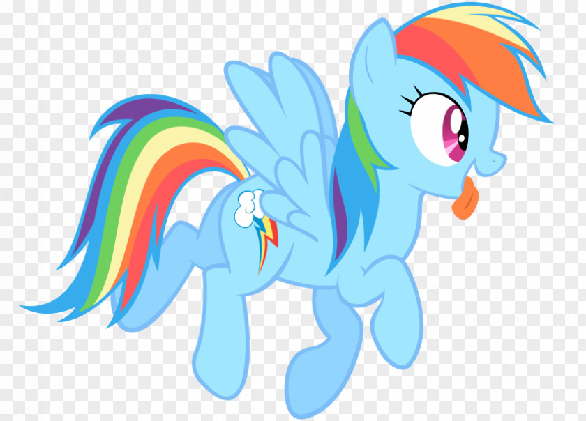My Little Pony Base Rainbow Dash Pinkie Pie Fluttershy Applejack Twilight Sparkle PNG