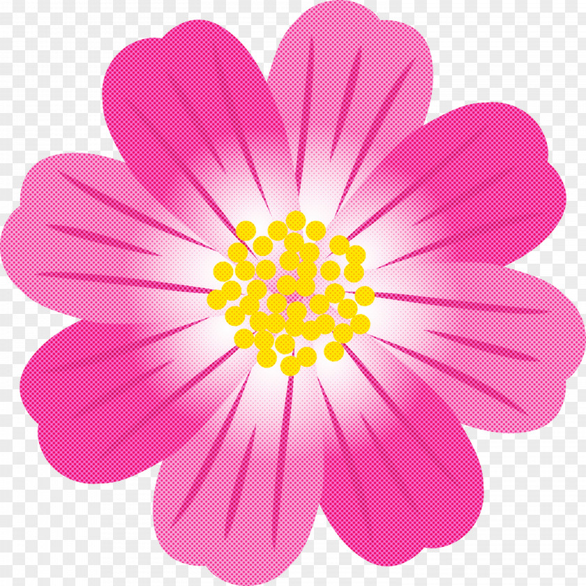 Petal Pink Flower Plant Cosmos PNG