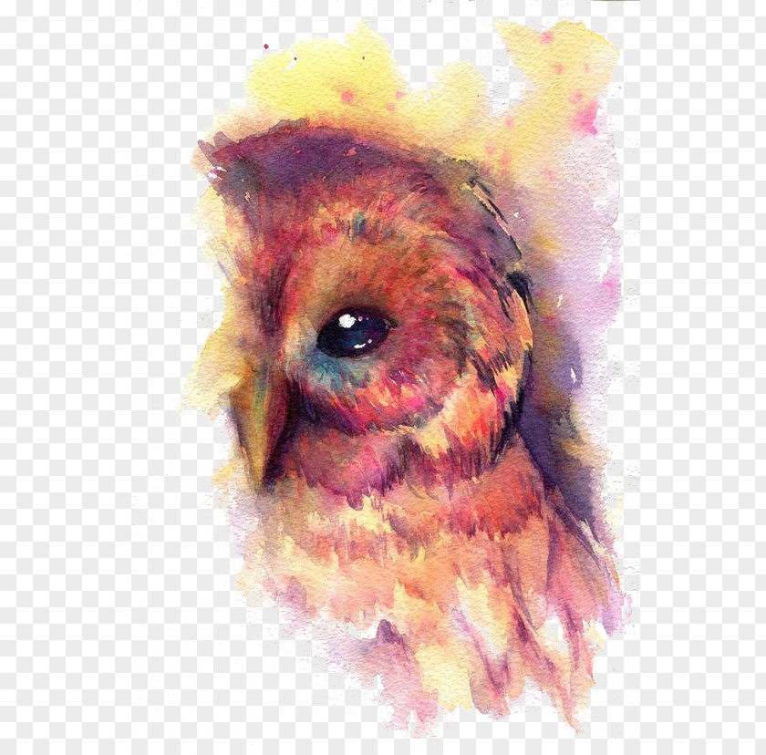 Birds Owl Bird Watercolor Painting Art PNG