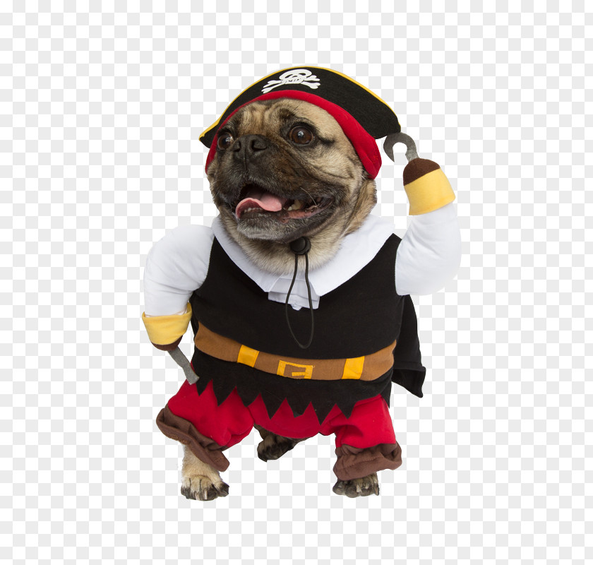 Cat Dog Breed Pug Halloween Costume Clothing PNG