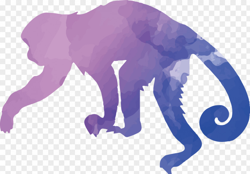 Colorful Animal Silhouettes Set Capuchin Monkey Apes And Monkeys Tufted PNG