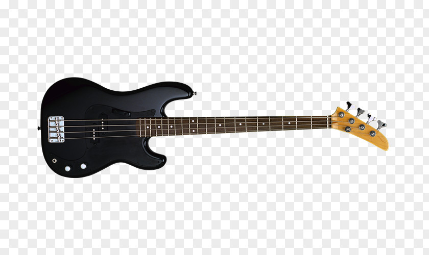 Ras El Hanout Electric Guitar Bass Steinberger Schecter Research PNG